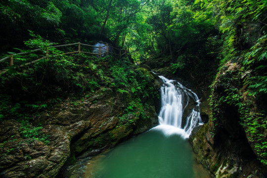 重庆自然风原始森林旅游景区黑山