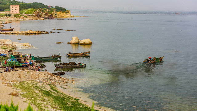 养马岛海水养殖场