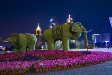 城市绿化大象