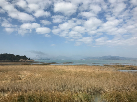 海边风景