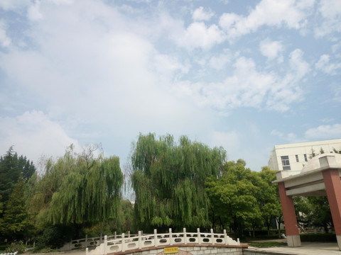 大学环境