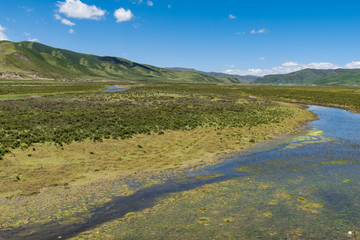 青海湖风光