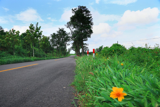 乡间小路