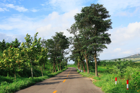 乡间小道