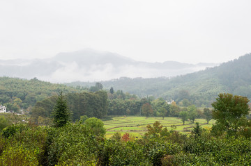 美丽山野