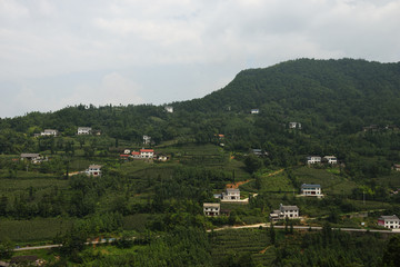 恩施 山 大山