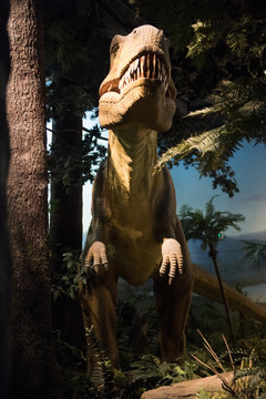 恐龙 博物馆 国家自然历史博物