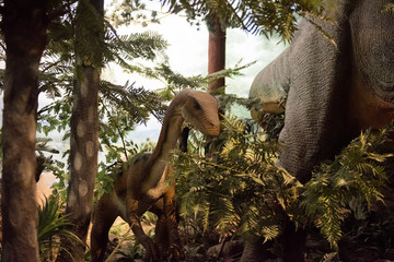 恐龙 博物馆 国家自然历史博