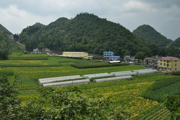 湖北鹤峰县 山里人家