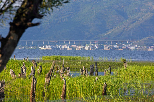 洱海湿地风光