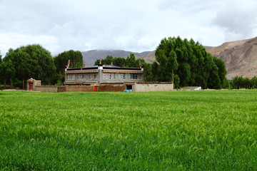 西藏 江孜
