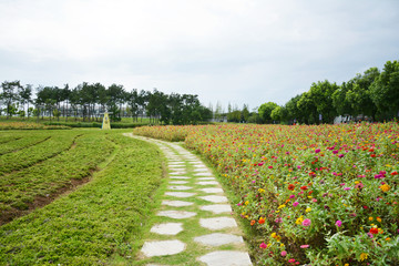 花间石板路