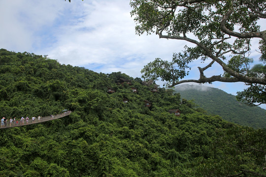 三亚亚龙湾 热带天堂森林公园