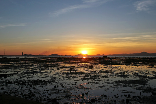 夕阳 晚霞 海滩 滩涂