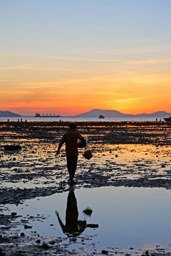 夕阳 海边 拾贝人