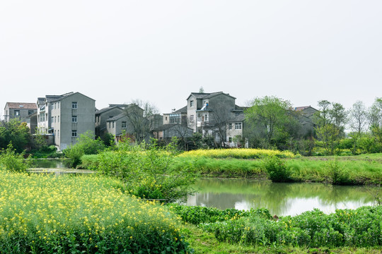 杨柳村乡村风光