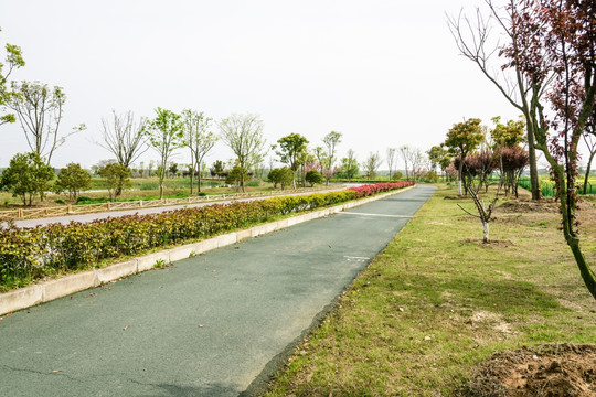 杨柳村入村道路