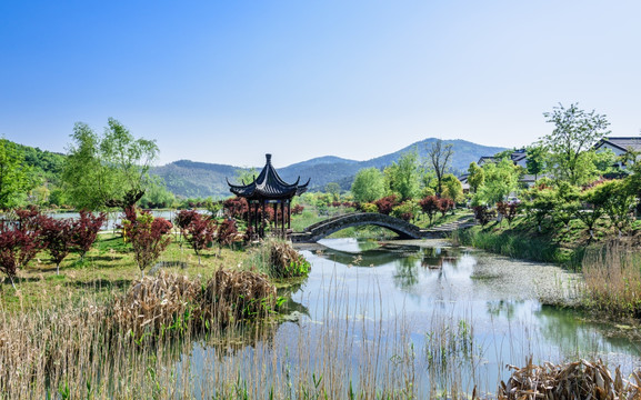 石塘竹海乡村风光