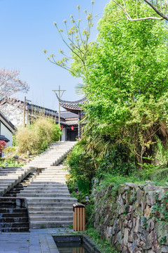 石塘竹海乡村风光