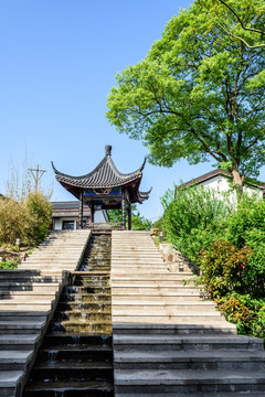 石塘竹海乡村风光