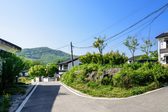 石塘竹海乡村风光