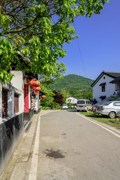 石塘竹海乡村风光