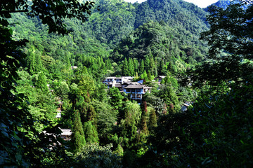 青城后山 又一村