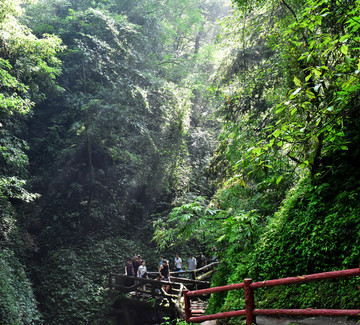 山泉 光束