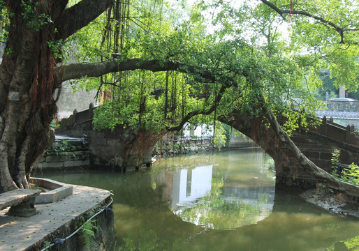 乡村景色