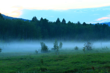 森林夜雾升腾