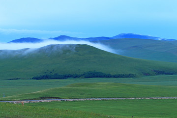 山地牧场淡淡的晨雾