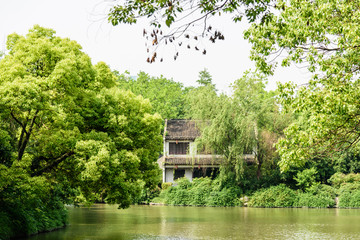 白鹭洲公园风景