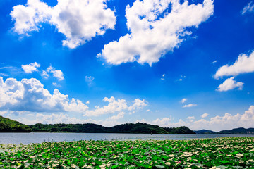 湖泊蓝天