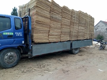 木皮 木板 木皮运输