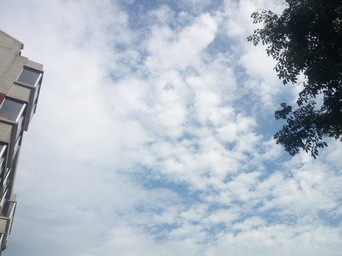 澄澈的藍(lán)天