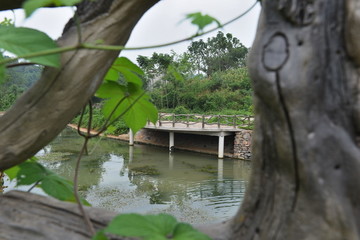 根雕 风景 河边风景