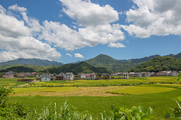 乡村风光