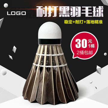黑羽毛球主圖