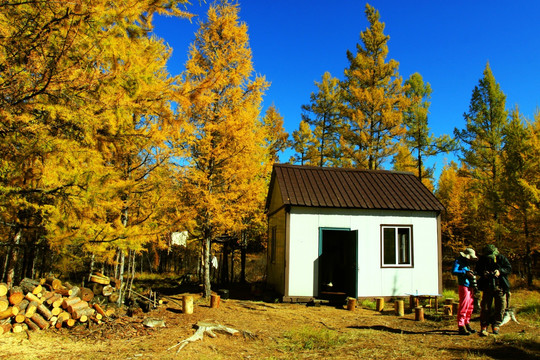 秋季森林小房子