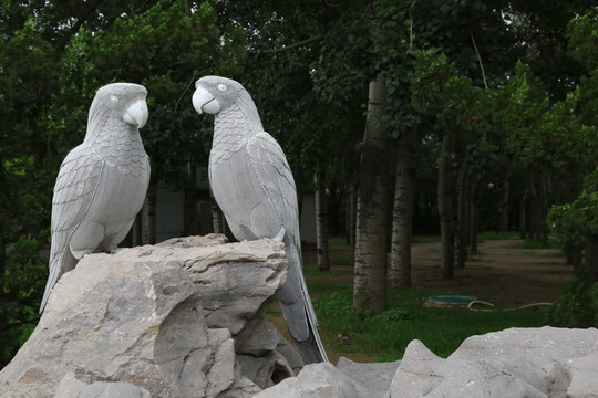 铁艺鹦鹉鸟雕像
