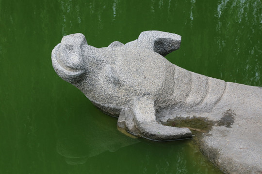 水中的水牛石雕