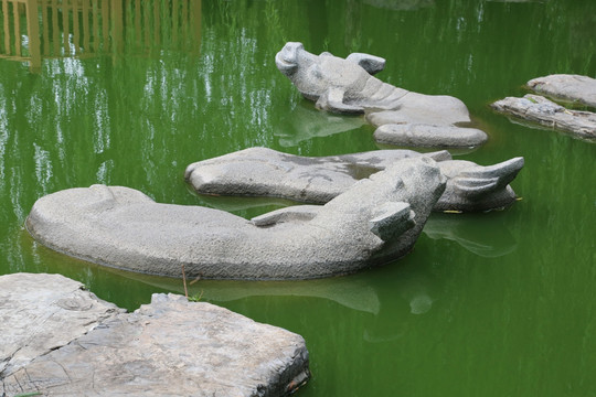 池塘中的水牛石雕