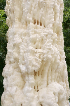 雪白的钟乳石柱柱子