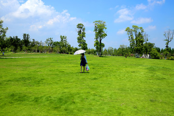 青青草地 草地 青草地 湿地