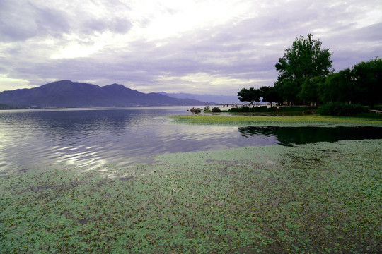 邛海 凉山 湖泊 风光 内陆湖