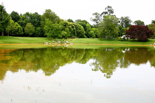 湖畔 水景 湖水 休闲 养生