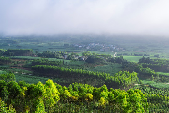 风景背景 乡村风光