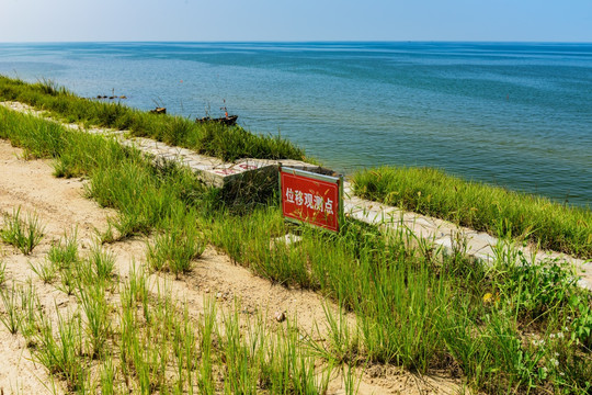 莱州湾