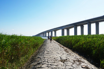 风景