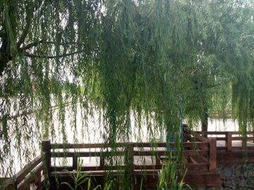 臨沂大學(xué)風(fēng)景區(qū)